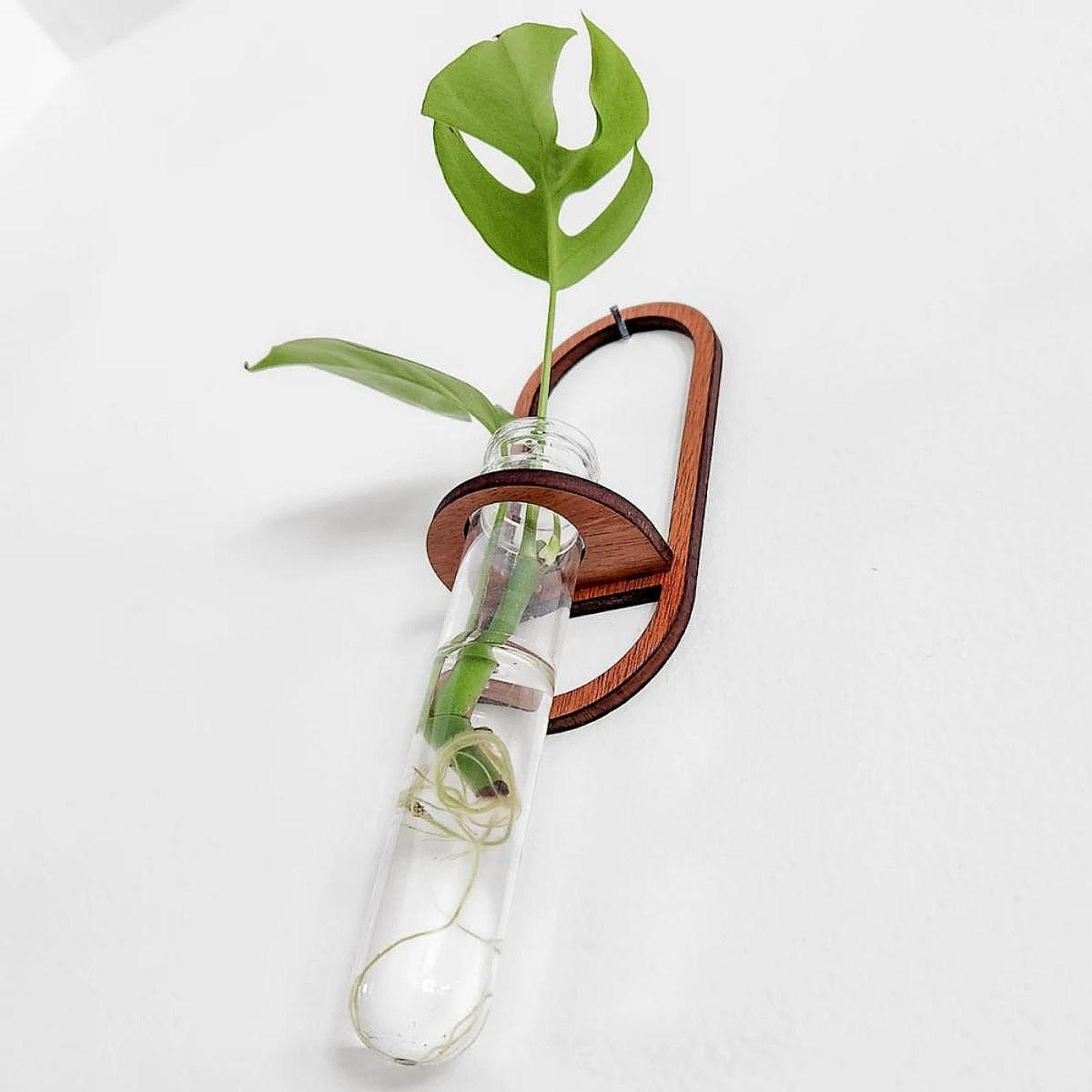Propagation Station Vase - مزهرية نباتات هيدروبونية، رف خشبي للحائط،
