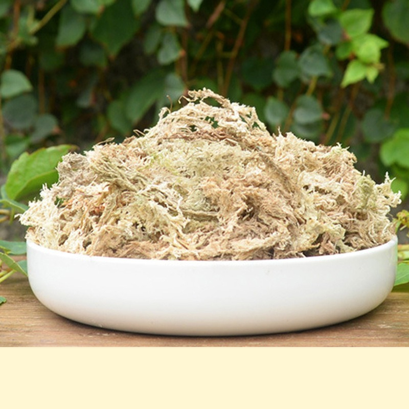 Sphagnum Moss Dry - تربة طحالب السفاغنوم لتراريوم الزواحف، وسائط