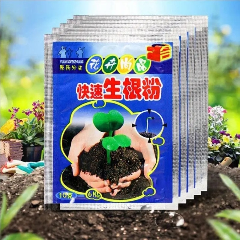 Root Stimulator Liquid - 5 قطعة مسحوق تأصيل سريع النبات