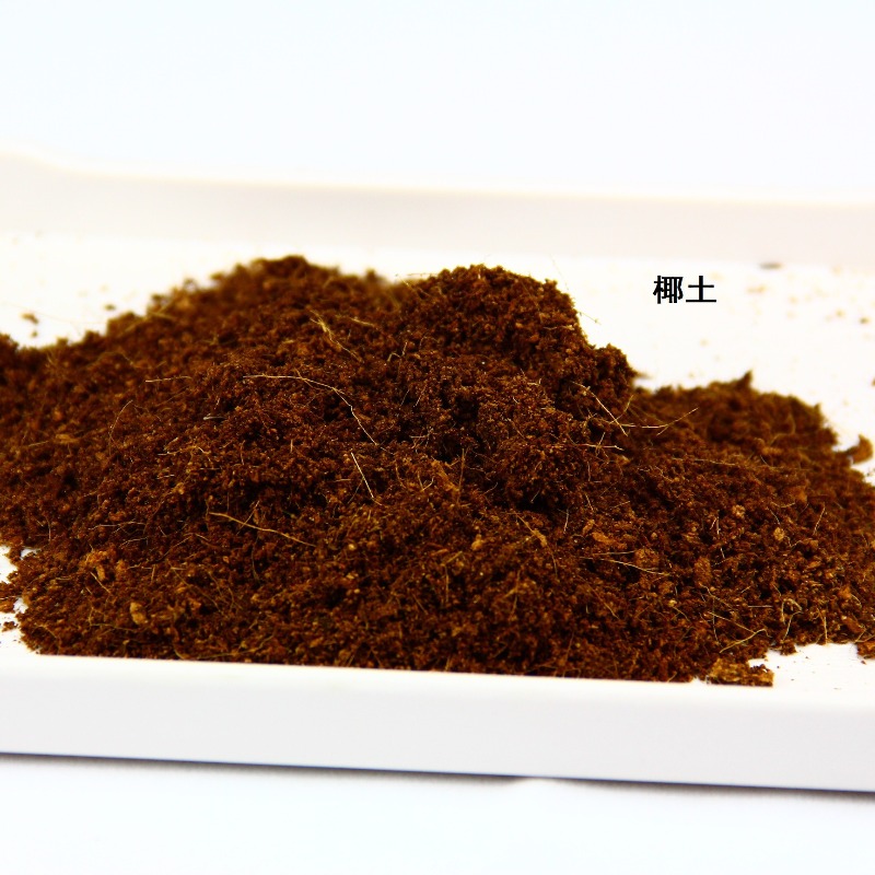 طوب تربة جوز الهند كركيزة للزو - مراجعة Sphagnum Moss Dry وسعره