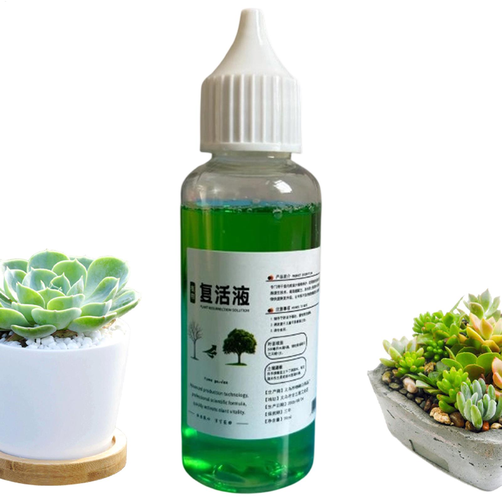 محفز للجذور للنباتات، محلول سا - مراجعة Root Stimulator Liquid وسعره