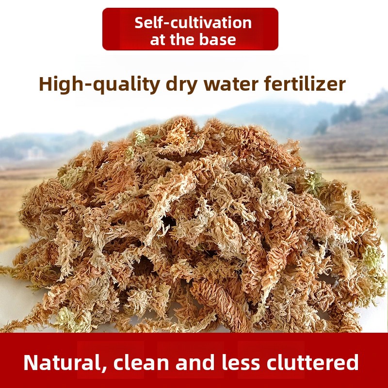 طحلب السفاغنوم المجفف من الدرج - مراجعة Sphagnum Moss Dry وسعره