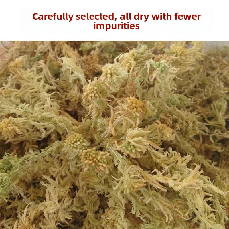 طحلب السفاغنوم المجفف من الدرج - مراجعة Sphagnum Moss Dry وسعره