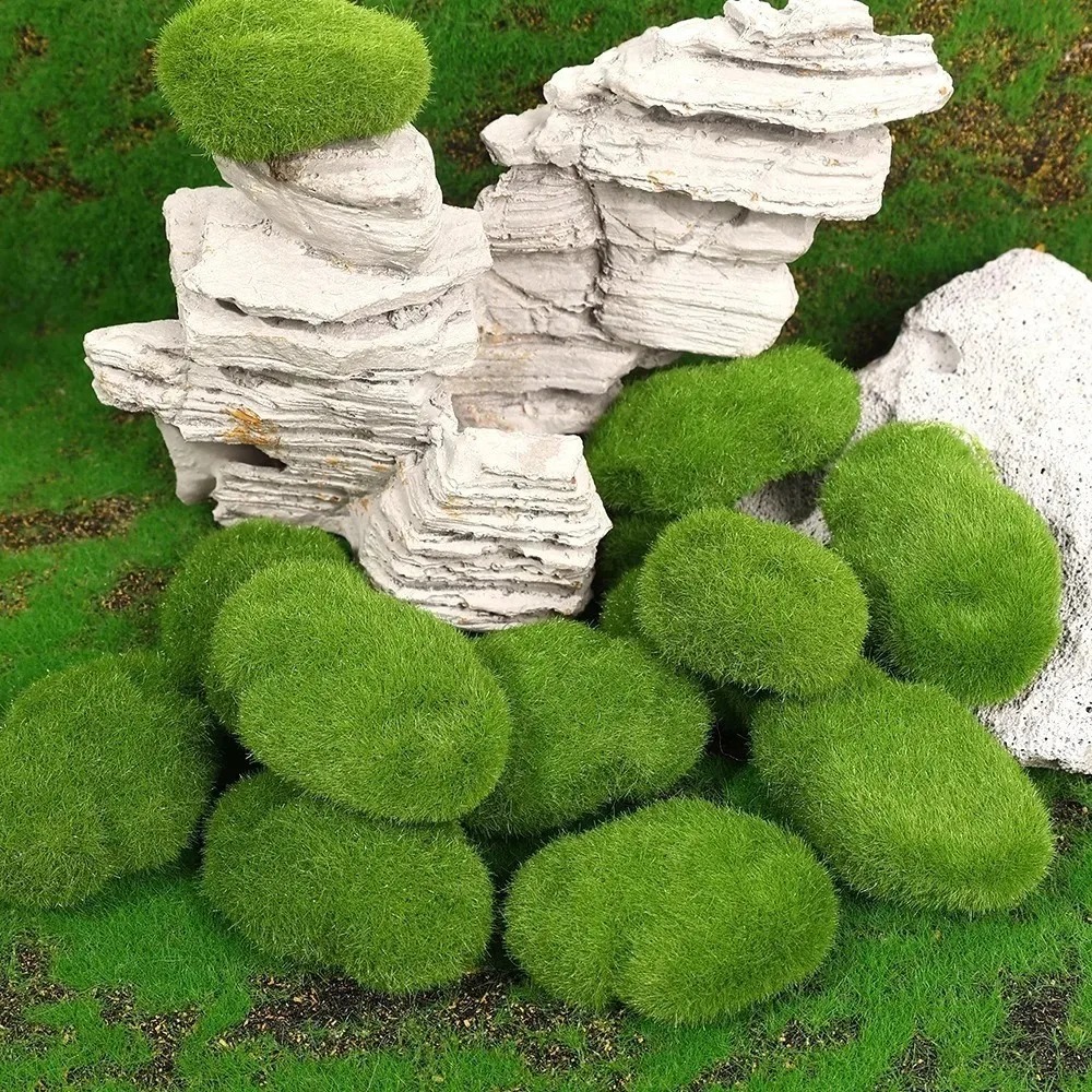 50/5 قطع من كرات الطحالب الصنا - مراجعة Sphagnum Moss Dry وسعره