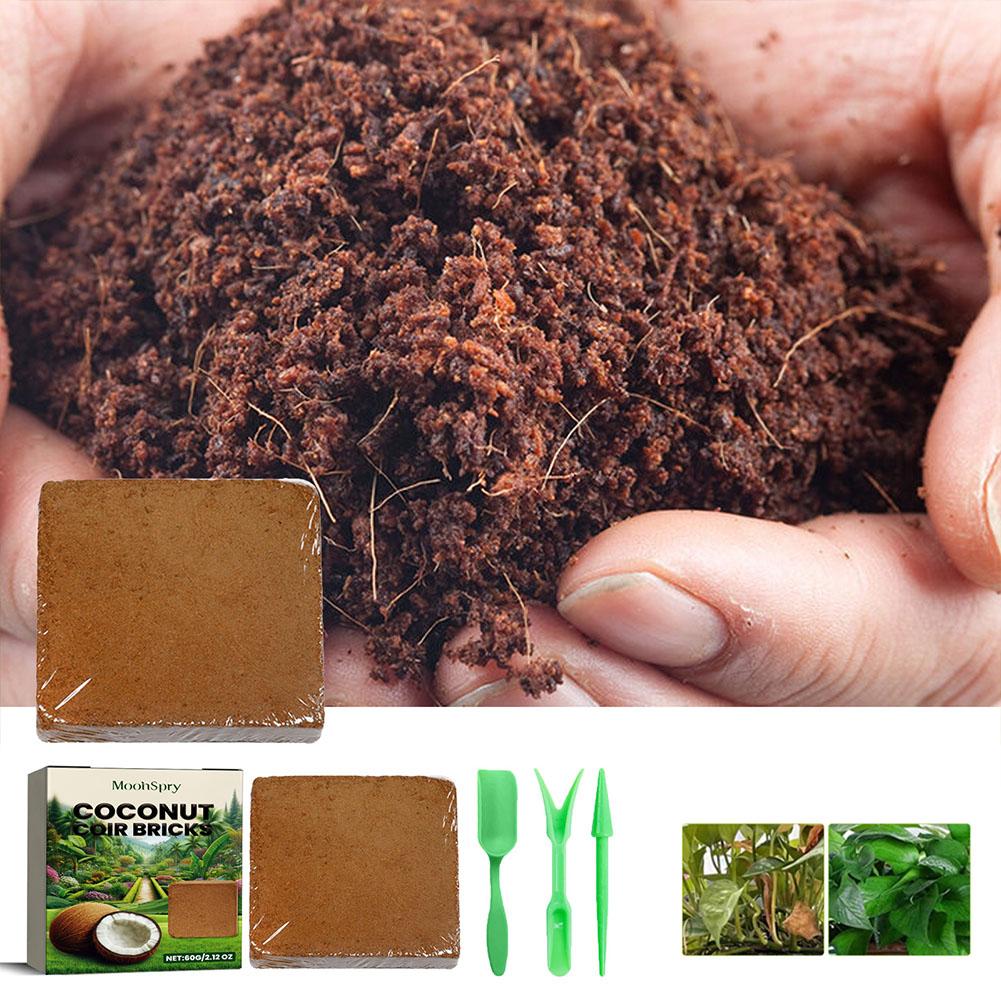 طوب ألياف جوز الهند - تربة عضو - مراجعة Sphagnum Moss Dry وسعره