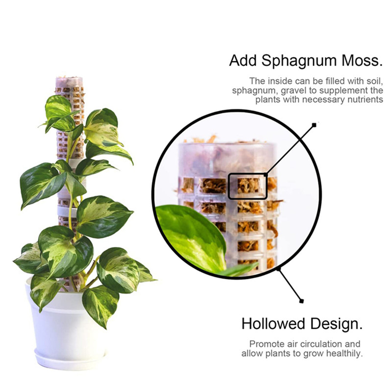 عمود طحلب بلاستيكي قابل للتكدي - مراجعة Sphagnum Moss Dry وسعره