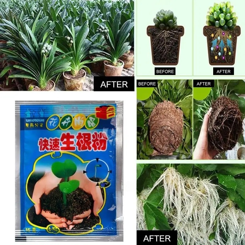 5 قطعة مسحوق تأصيل سريع النبات - مراجعة Root Stimulator Liquid وسعره